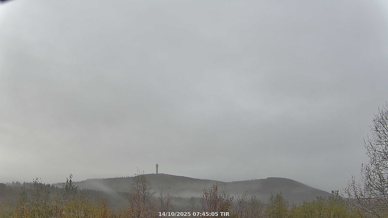 Webcam Image