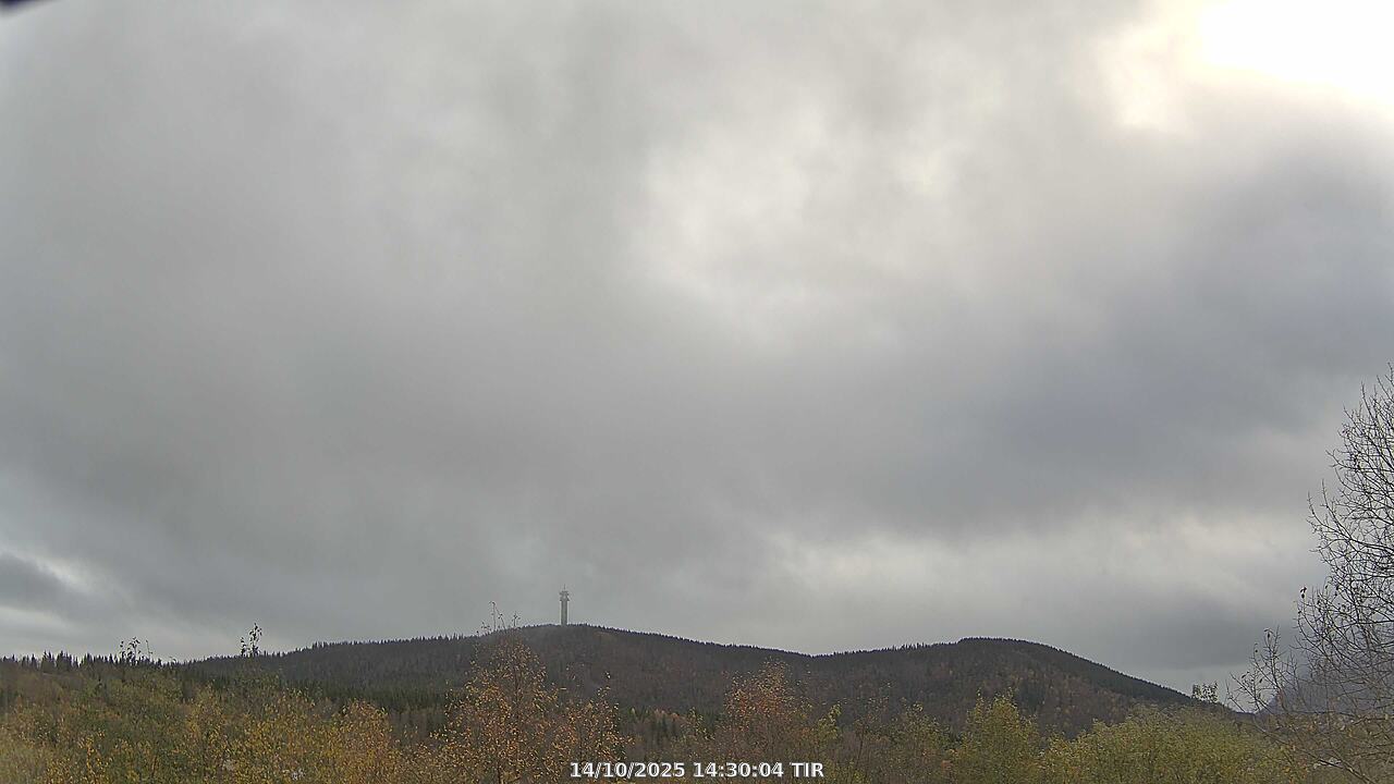 Webcam Image
