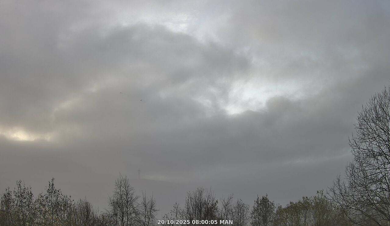 Webcam Image