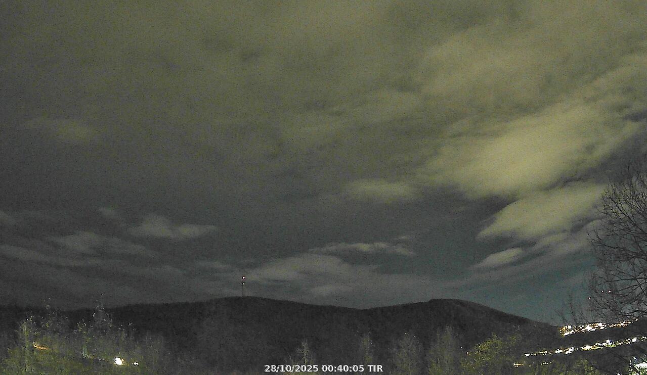 Webcam Image