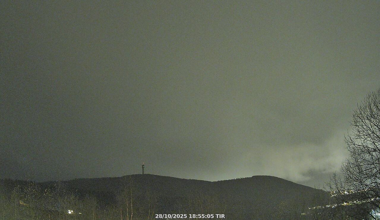 Webcam Image